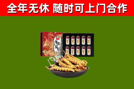 黎川县回收冬虫夏草价格